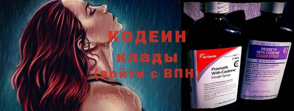 СК Гусев