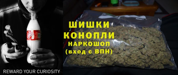 СК Гусев