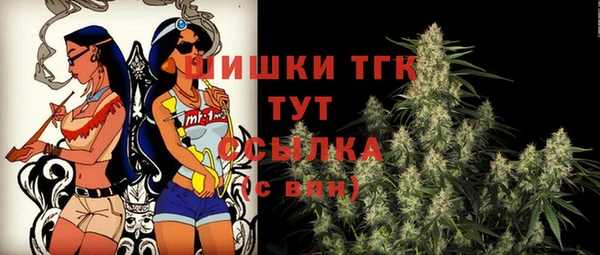 СК Гусев