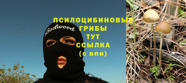 СК Гусев