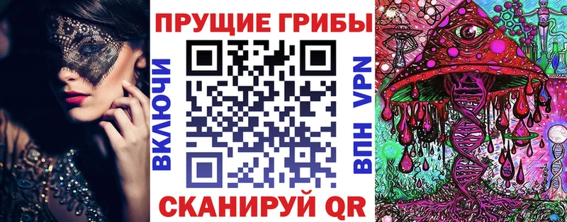 Галлюциногенные грибы прущие грибы  Купить закладки  Железногорск-Илимский 